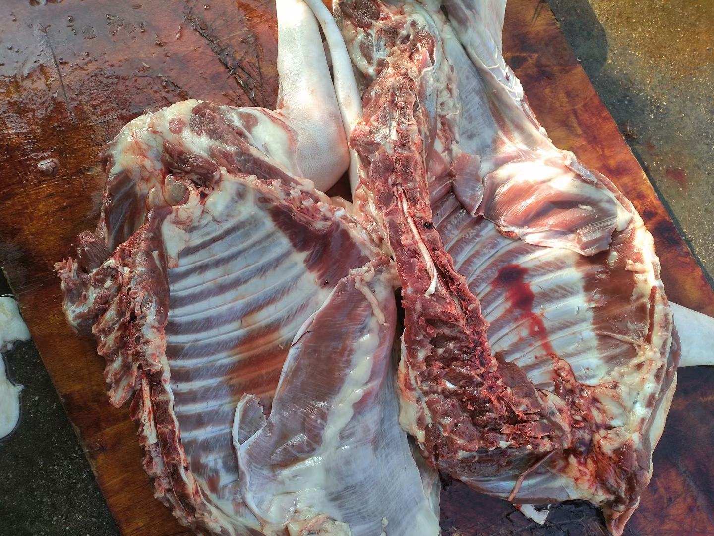 狗肉与菠菜搭配的热菜展示,色泽诱人,营养丰富 狗肉与菠菜搭配菜肴