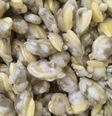 油甲肉花甲肉活螺冻肉