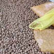 干核桃