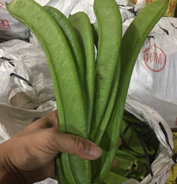 广西新鲜刀豆刀夹豆一手货源产地直发量大优惠