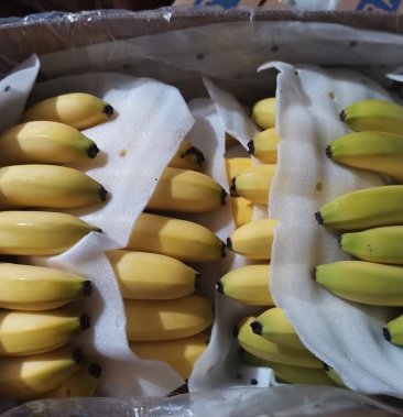 净果10公斤老挝香蕉果皮干净口感好只卖回头客