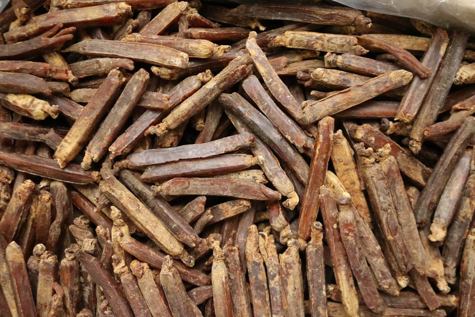 红参与普通人参对比图