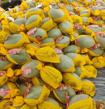 50元/斤 - 一亩田