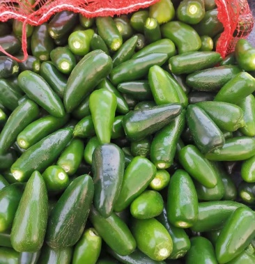 [泡椒批发]优质港椒泡椒辣椒产地直供全国发货,欢迎新老顾客前来选购.