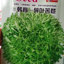 碎叶苦巨菜种子，外叶绿色，有苦味，随圆形，