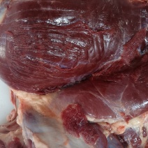 支持拿样驴肉***欢迎联系