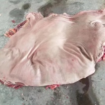 鲜冻带皮驴肉颜色鲜质量好带皮驴肉颜色新鲜质量好出肉率高