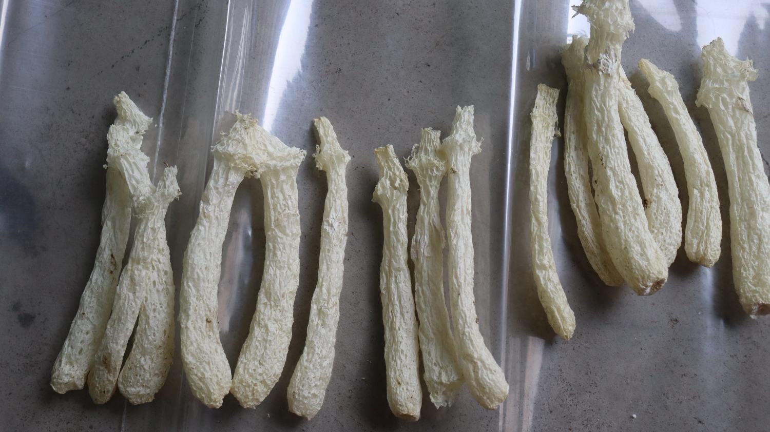 竹荪初步清洗