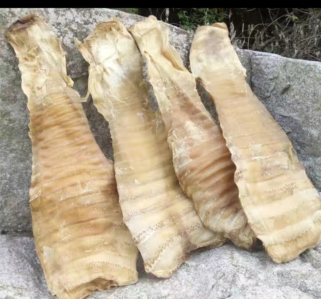 切片并初步腌制的旱黄瓜,整齐铺在竹筛上,准备晾晒 切片并初步腌制的旱黄瓜