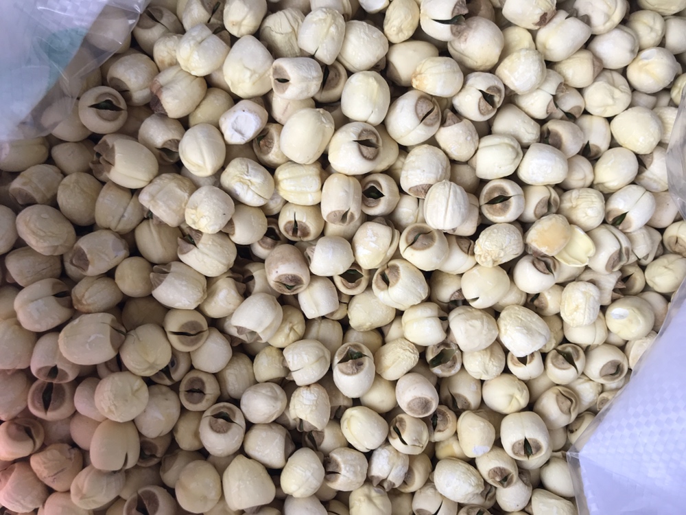 猪心切片与泡发好的白莲子摆放在案板上,旁边有姜片、枸杞等辅料 猪心炖白莲子食材准备图