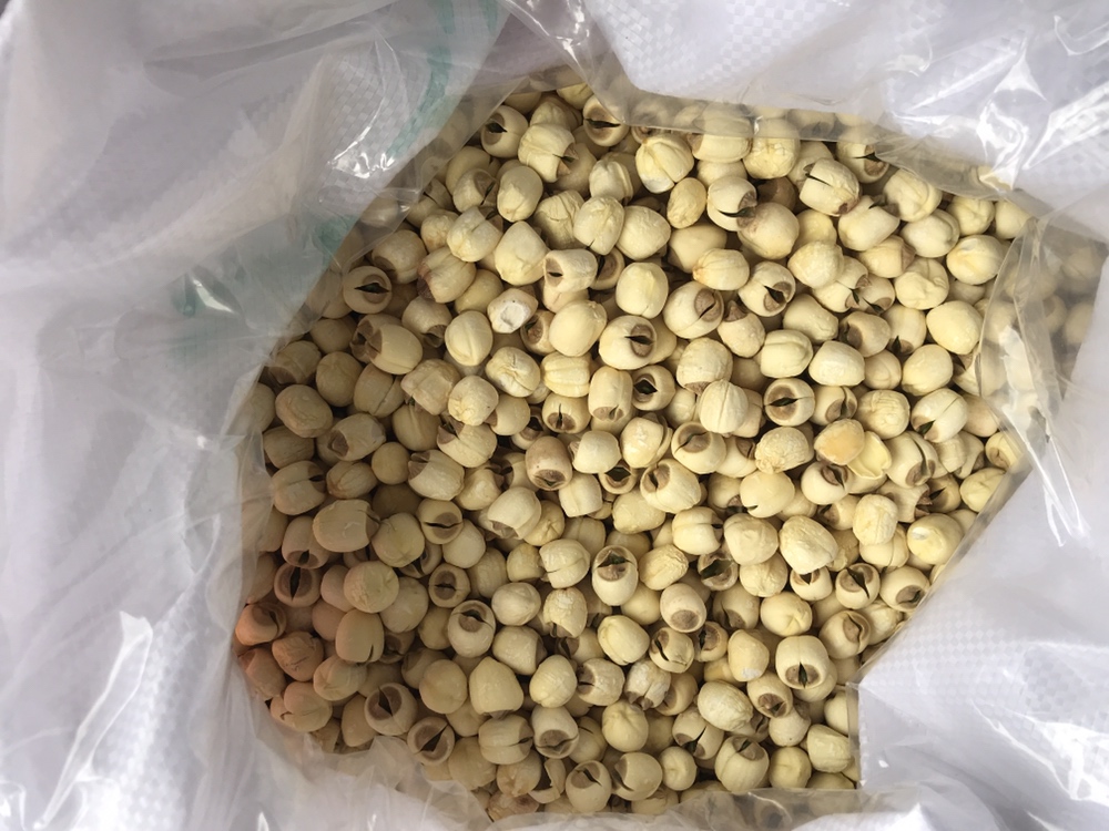 展示带心白莲子的精美礼盒包装,适合节日送礼或高端礼品市场 带心白莲子礼盒包装展示