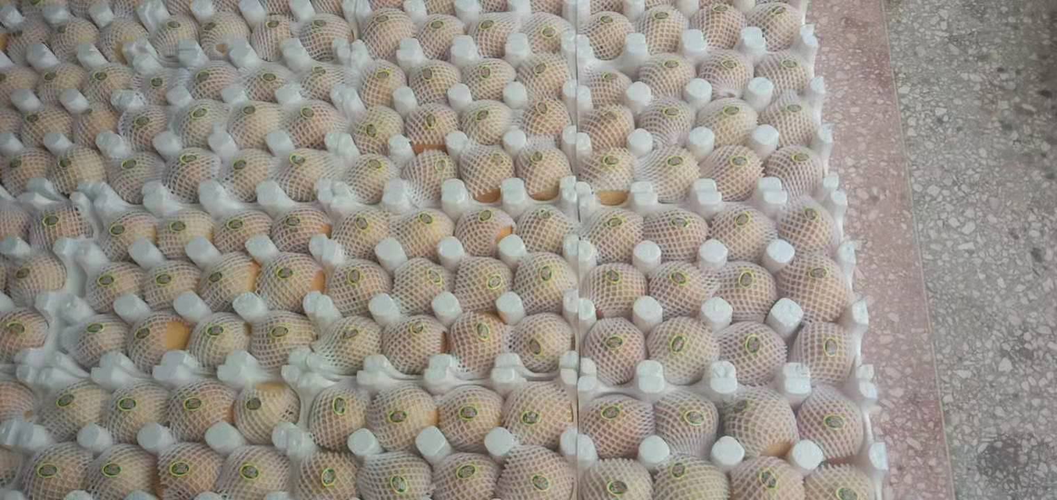 黄金梨包装与运输过程