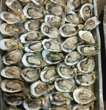 北海肥仔生蚝批发小蚝