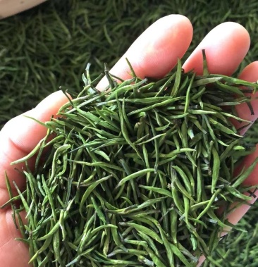 银针雀舌成品好茶