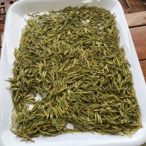 黄金芽黄茶安吉黄金芽茶叶毛峰黄金芽包邮