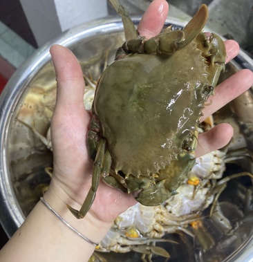 [青蟹批发]潮汕生腌冻膏蟹价格58.00元/个 - 一亩田