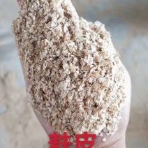 麸皮
