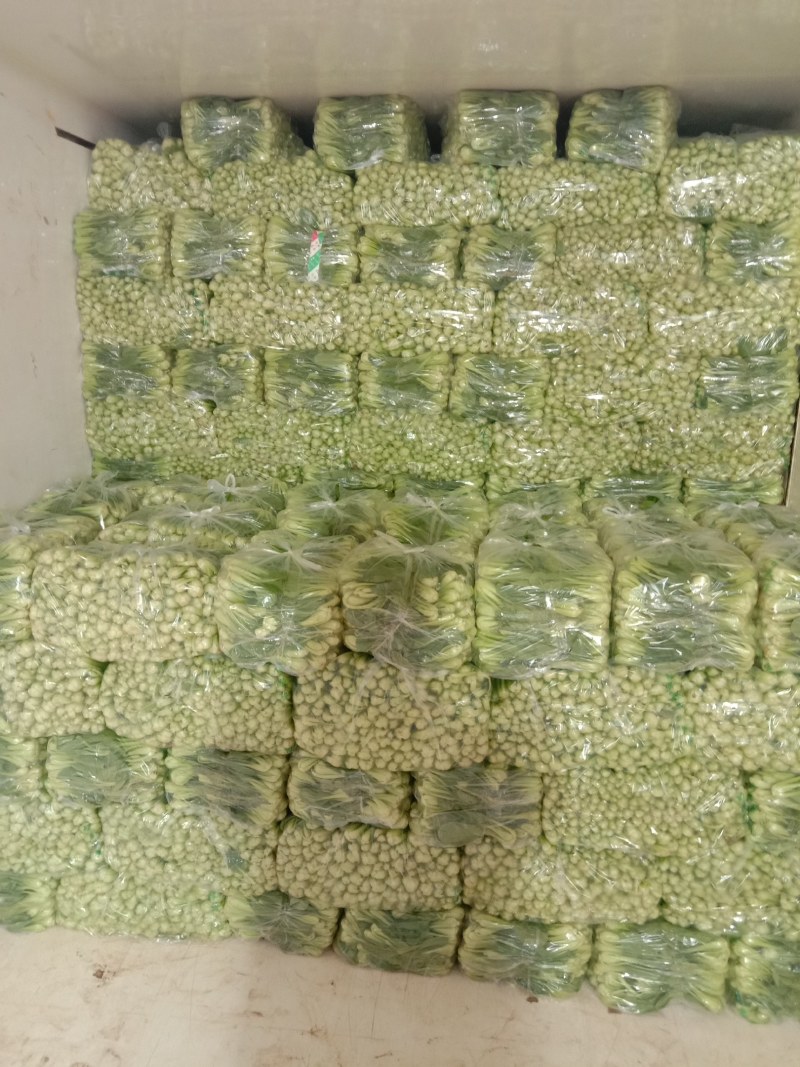 菏泽一亩地多少钱啊(菏泽一亩地种庄稼挣多少钱?)