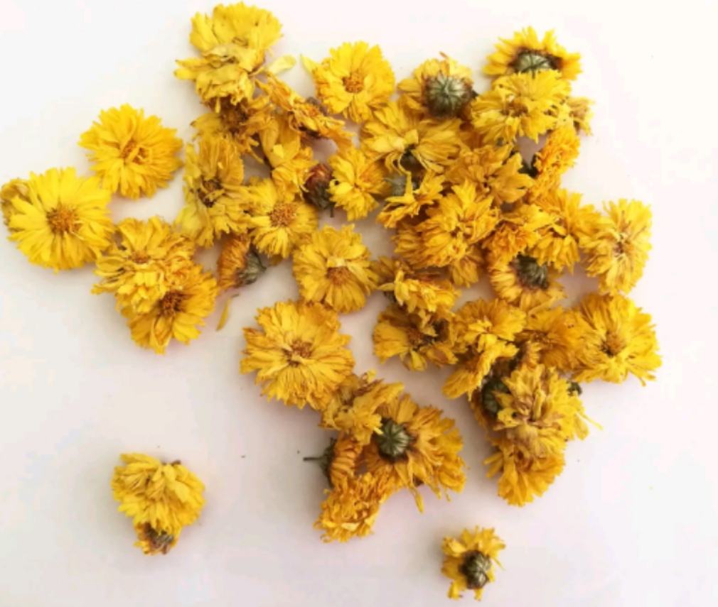 杭白菊干花特写