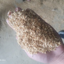 新鲜稻壳厂家直供酿造稻壳养殖垫料稻壳
