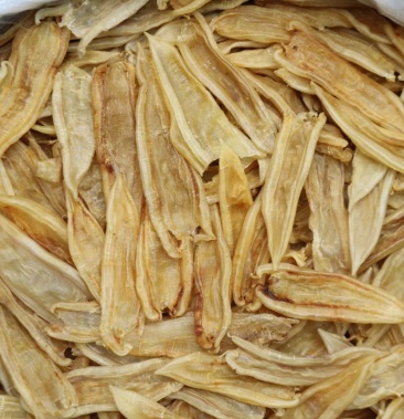 一德路60头双背胶花胶鱼胶肉质新鲜完整一件代发