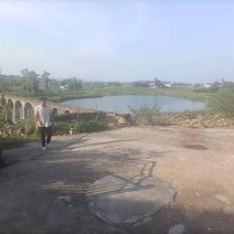 150亩鱼塘出租，转让