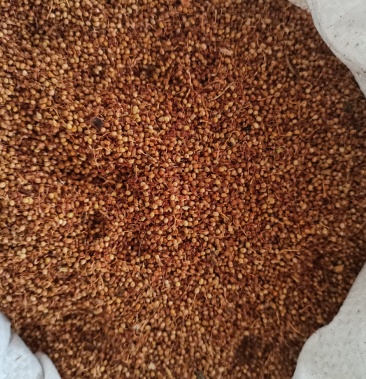 薜荔籽药用正品保证质量无理由退货退款华安堂