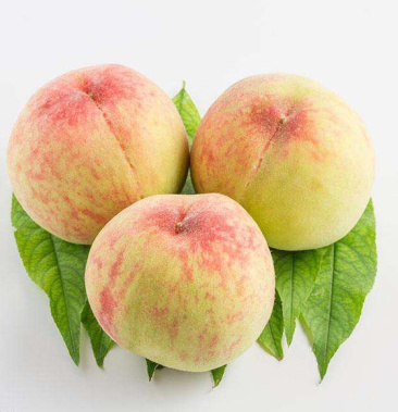 [桃批发]大量九宝桃即将成熟价格2.00元/斤 - 一亩田