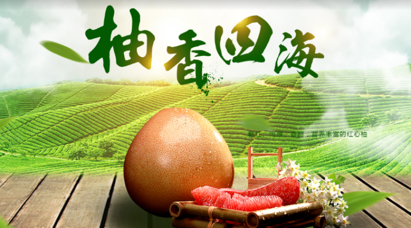 三红蜜柚怎样管理才能多开花