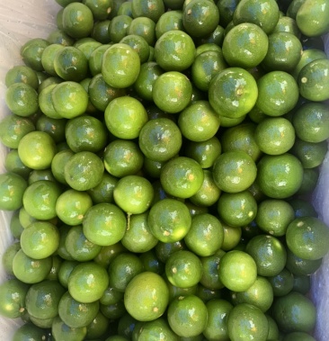 [柠檬批发]土柠檬价格3.20元/斤 - 一亩田