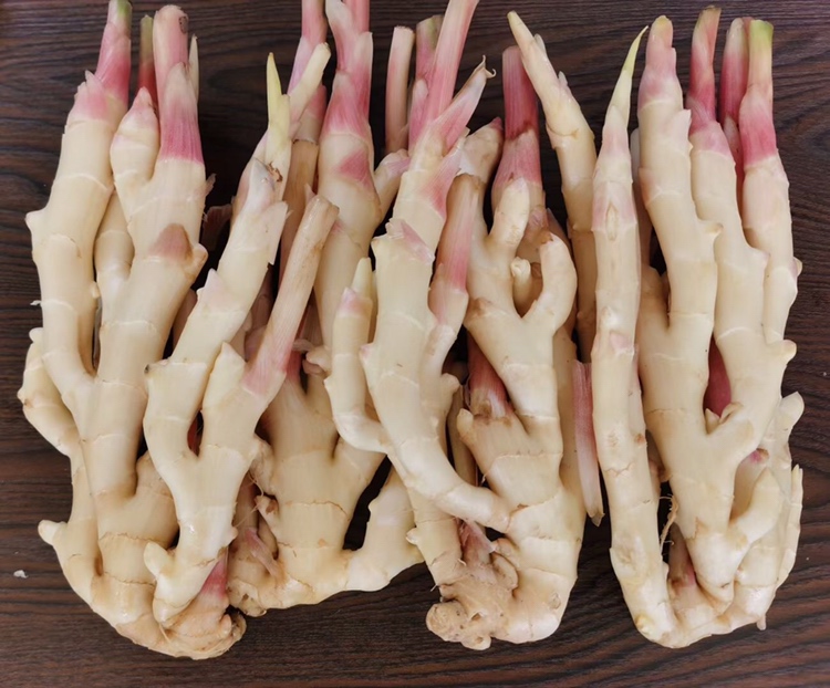 厨房中新鲜子姜与其他香料摆放图