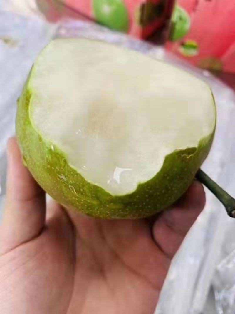 翠冠梨品种3元/斤0翠冠梨规格运费待商议物流江苏苏州张家港市产地