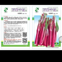 红菜苔杂交一代，无苦味，