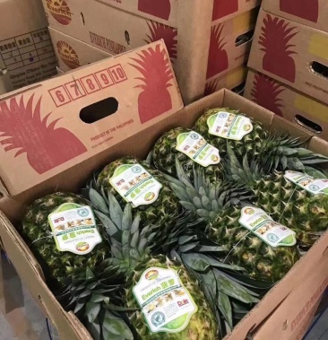 都乐ev凤梨菲律宾凤梨进口水果凤梨