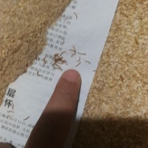 各种规格黄粉虫常年供货，把好质量关是我们的宗旨