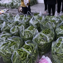 高山精品螺丝