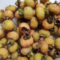 刺梨鲜果