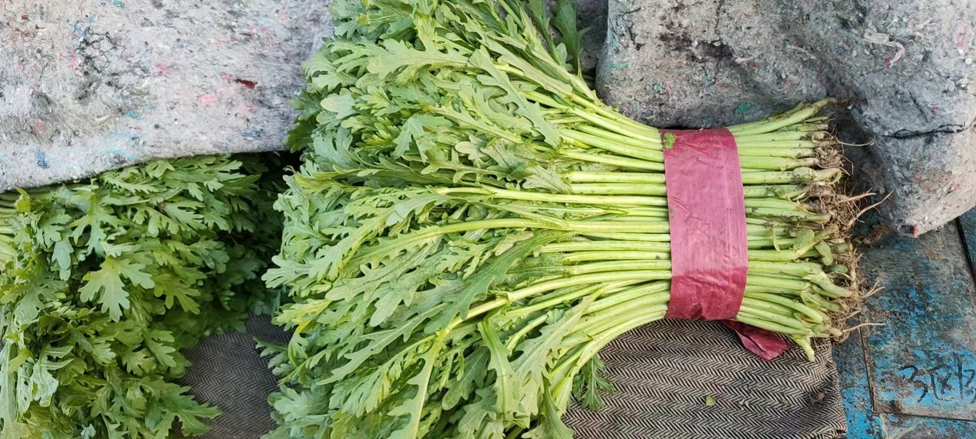 苦苣与蒿子杆对比图