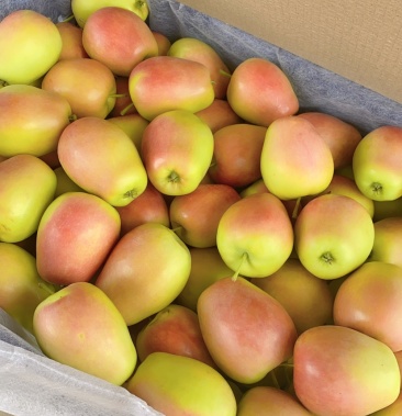 [苹果批发]特级龙冠价格1.20元/斤 - 一亩田