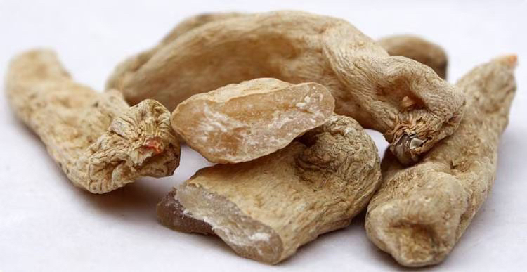 三七切片展示图