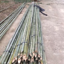 竹竿棚竿菜架竹工业竹