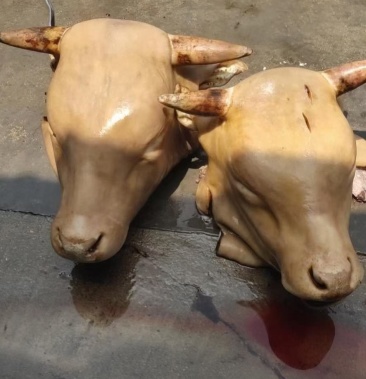 [牛头批发]生牛头价格9.50元/斤 - 一亩田