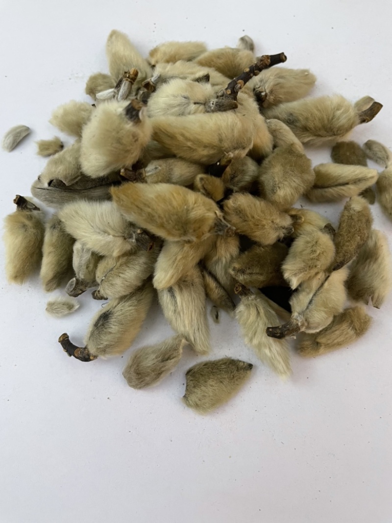 辛夷花,无硫辛夷花,散装干货,质量保证