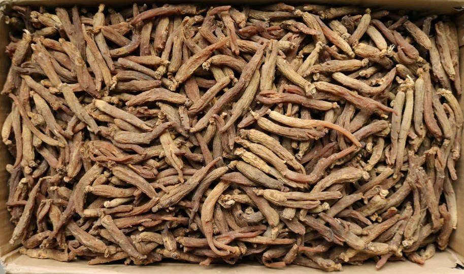 红参泡水与切片