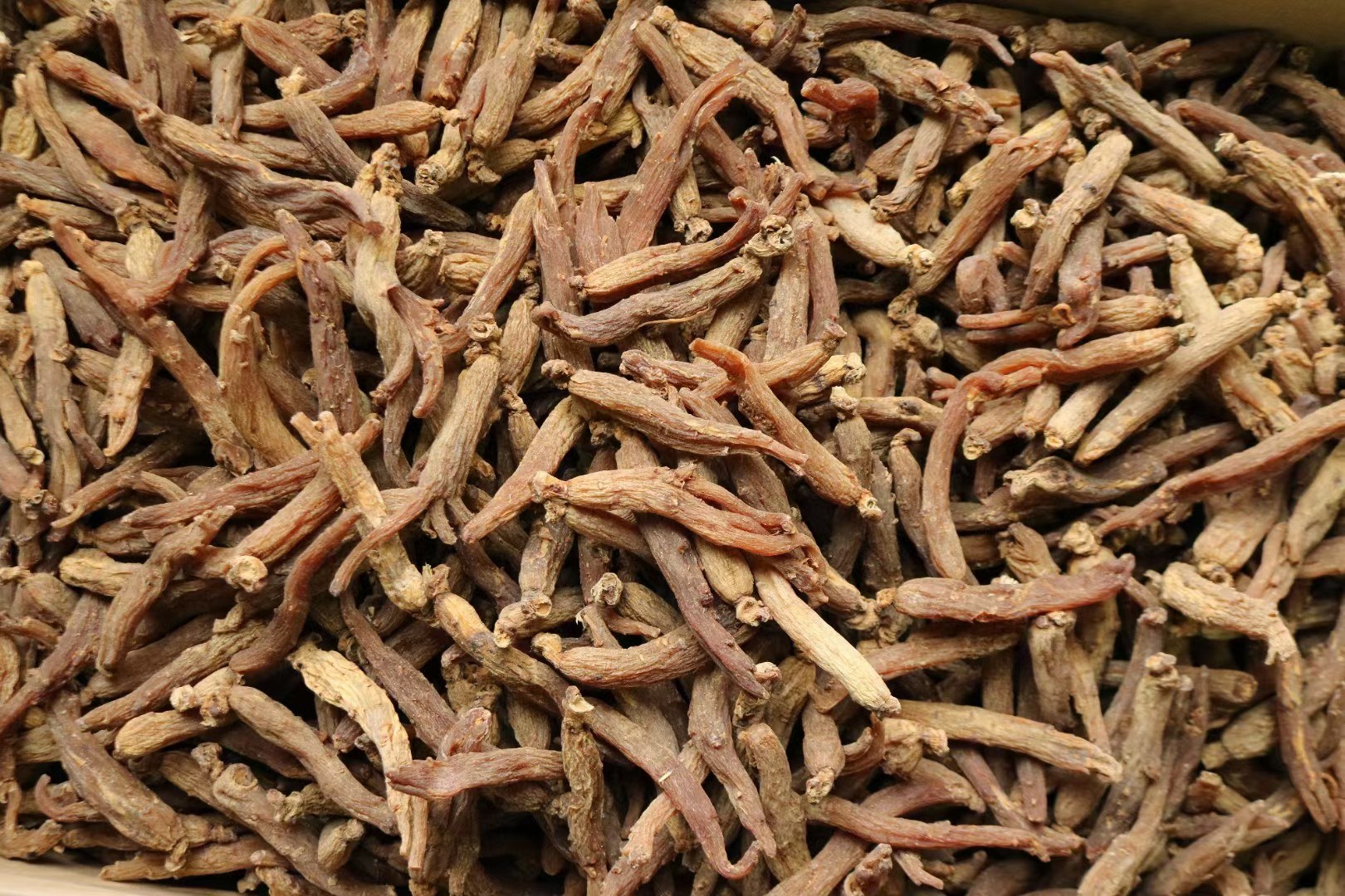 干红参与湿红参对比图