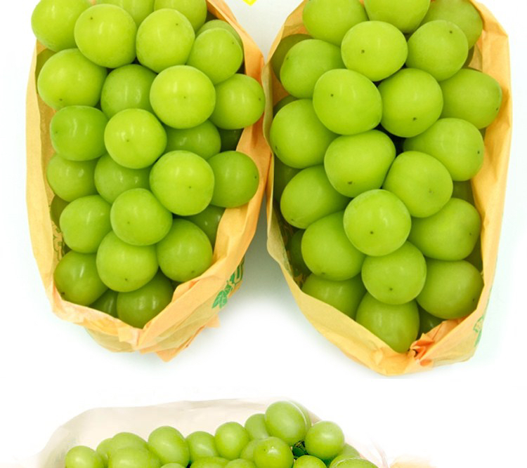 青提储存对比图