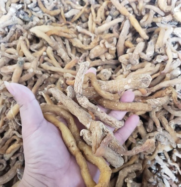 [玉竹条批发]干玉竹条价格16.00元/斤 - 一亩田