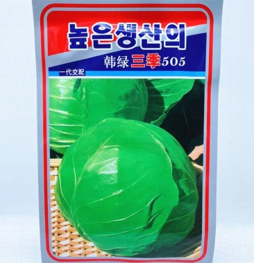 韩绿三季505一代杂交新品种早熟甘蓝种子春夏秋种子