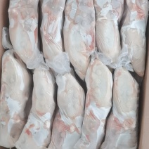 一级白条鸭1050-1500克