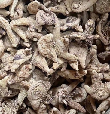 白芨干品紫花白芨干品精选白芨干品